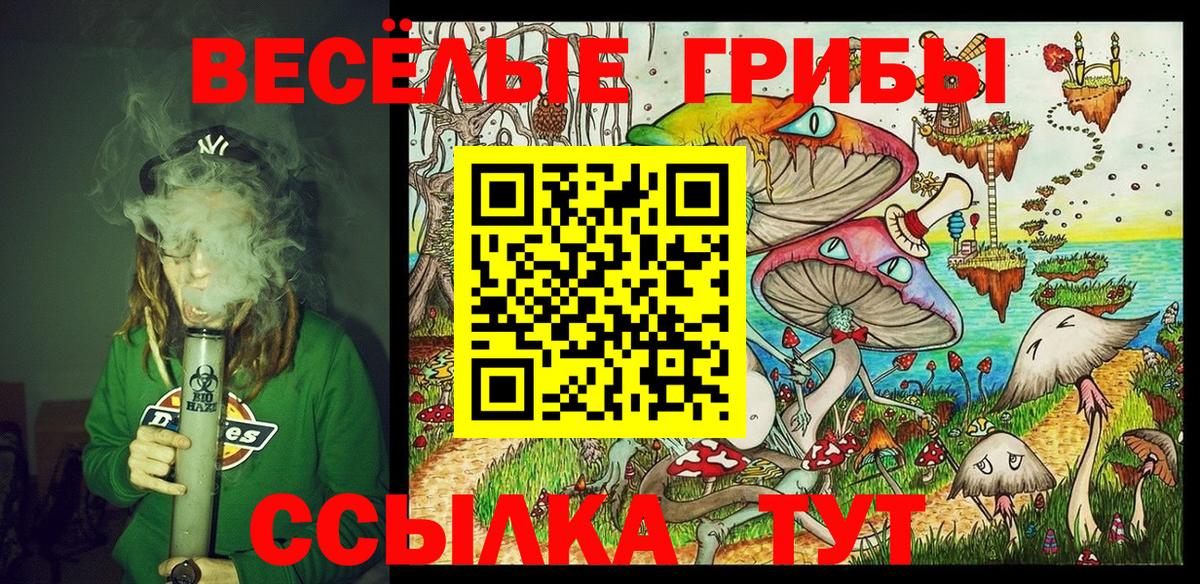 Галлюциногенные грибы Psilocybe  Вход с VPN  Канск 